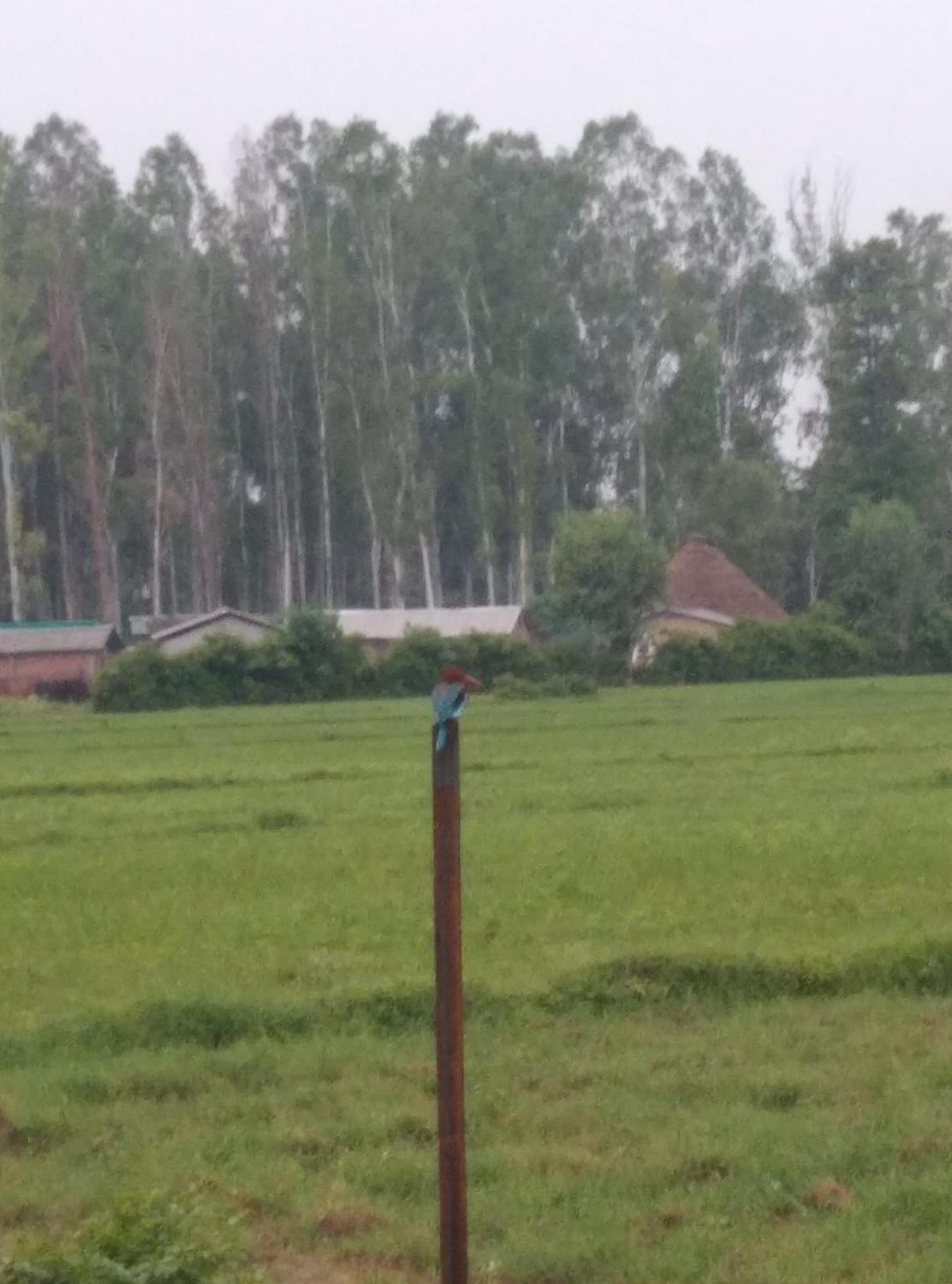 Corbett Bhavesh Home Stay Jhirna Pokoj fotografie